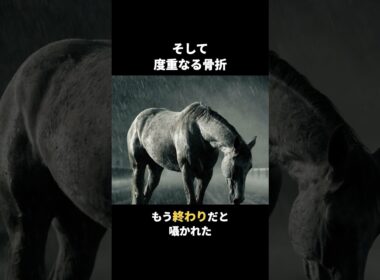 メジロマックイーン｜父子三代の悲願、春の盾を掴んだ芦毛祖父も父も届かなかった天皇賞・春を、若き武豊と制した史上唯一の父子三代天皇賞馬。#Shorts #競馬 #メジロマックイーン #武豊 #名馬列伝