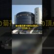 菊花賞を勝ちながら天皇賞春で3年続けて3着 名脇役ナリタトップロード #Shorts
