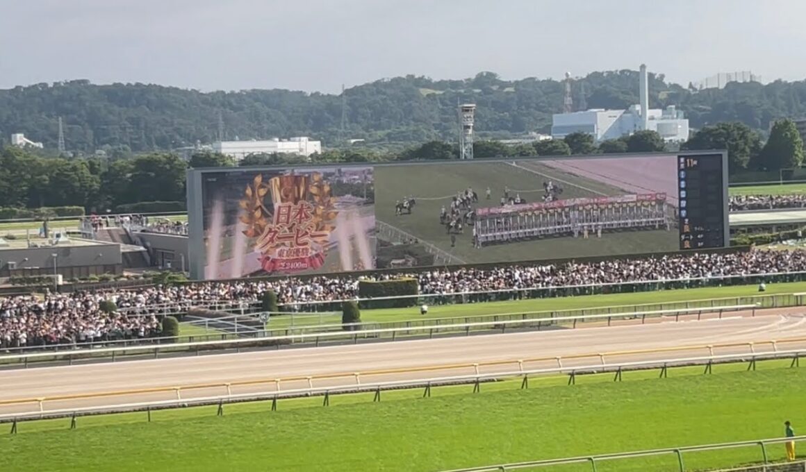 東京優駿(日本ダービー)2026 ファンファーレ