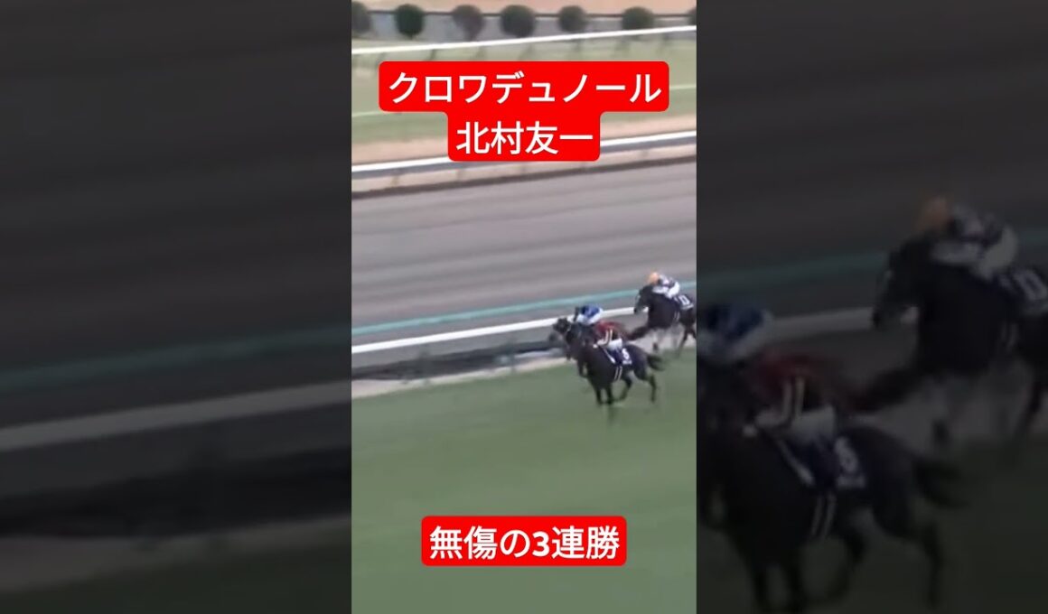 ホープフルステークス勝ったのはクロワデュノール北村友一無傷の3連勝。