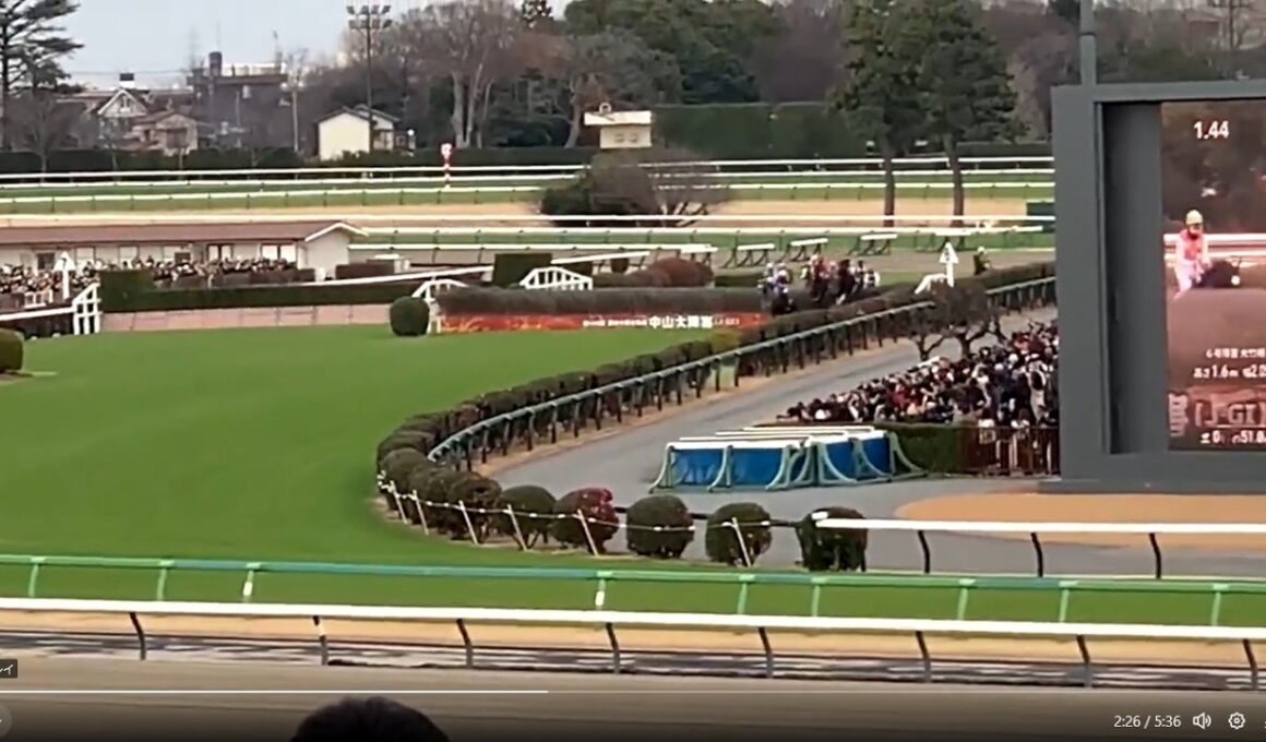 JGⅠ 中山大障害 エコロデュエル 2025/12/27