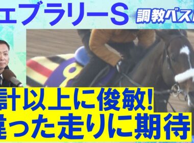 【あのGⅠ馬がランク外！1位はなんと…】コスタノヴァ、ダブルハートボンド、ウィルソンテソーロ・・・ダート王決定戦！競馬エイト・高橋賢司トラックマンの調教解説＜フェブラリーステークス(ＧⅠ)＞