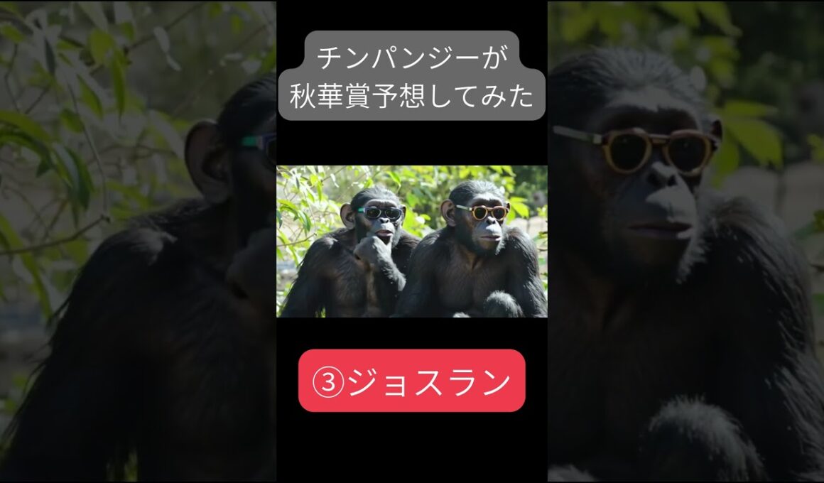 #中央競馬予想 #秋華賞 #競馬