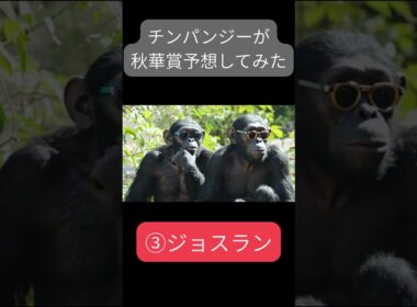 #中央競馬予想 #秋華賞 #競馬