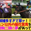【菊花賞2026】ロブチェン以外に勝ってほしい馬、みんなの答えが多すぎてカオスすぎる件…【競馬】