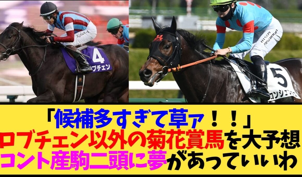 【菊花賞2026】ロブチェン以外に勝ってほしい馬、みんなの答えが多すぎてカオスすぎる件…【競馬】