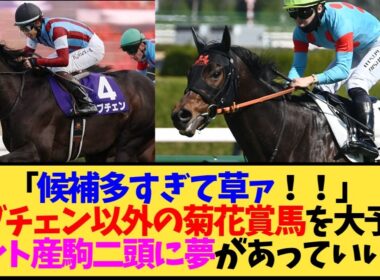 【菊花賞2026】ロブチェン以外に勝ってほしい馬、みんなの答えが多すぎてカオスすぎる件…【競馬】