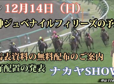 【競馬】阪神ジュベナイルフィリーズ　無料・無償の推奨穴馬予想 　出馬表チェック資料無料配布のご案内
