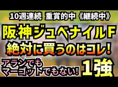 【 阪神ジュベナイルフィリーズ2025 】絶対に買うのはコレ！アランカールでもマーゴッドラヴミーでもない!!　連対率１００％の激アツ１強