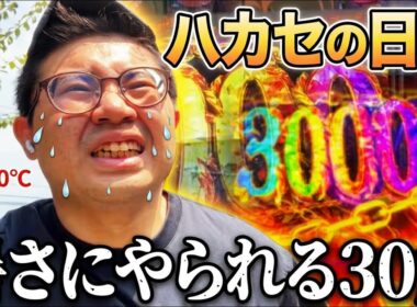 【日常】暑さにやられる30歳独身の日常