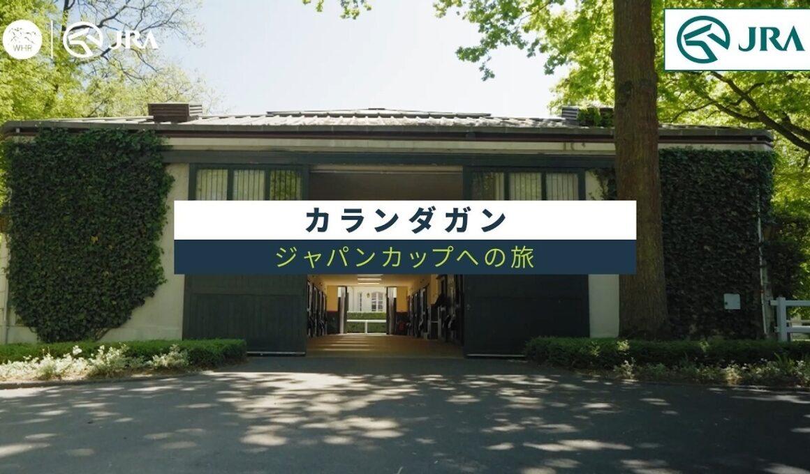 カランダガン　～ジャパンカップへの旅～ | JRA公式