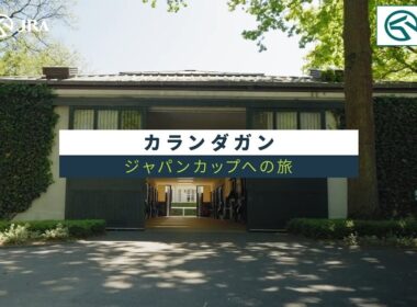 カランダガン　～ジャパンカップへの旅～ | JRA公式
