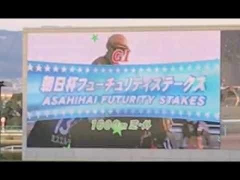 【映像資料】2016年　朝日杯フューチュリティステークス　ファンファーレ　＃映像資料　＃阪神競馬場