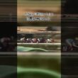 現役最後の有馬記念。最後の直線で全てを置き去りにした、怪物のラストラン。#有馬記念 #競馬 #名馬 #ラストラン #中山競馬場 #競馬好きと繋がりたい