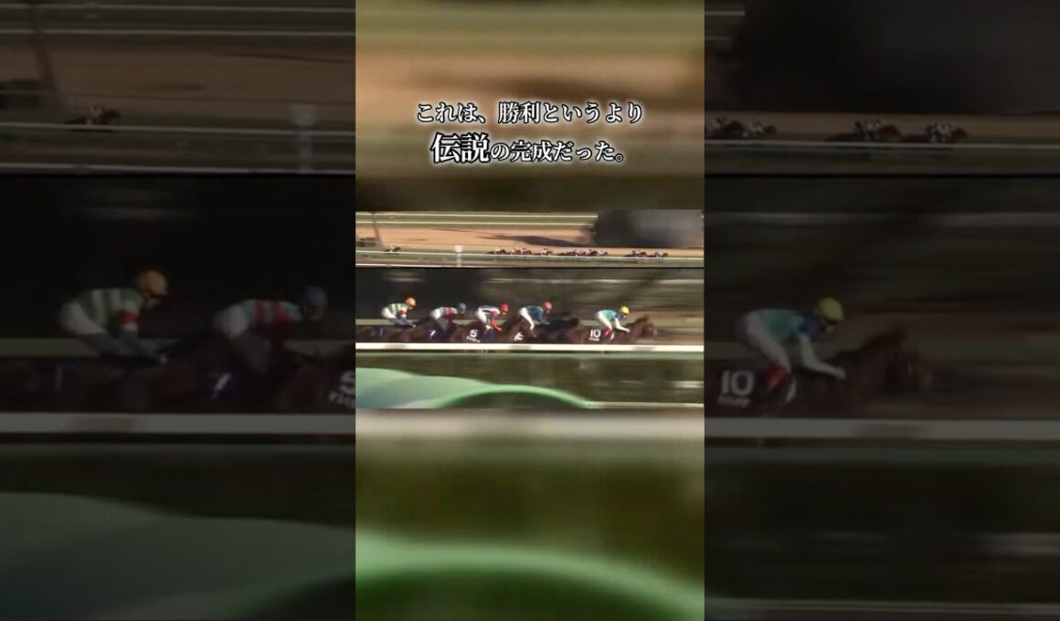 現役最後の有馬記念。最後の直線で全てを置き去りにした、怪物のラストラン。#有馬記念 #競馬 #名馬 #ラストラン #中山競馬場 #競馬好きと繋がりたい
