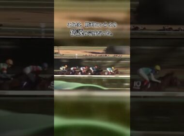 現役最後の有馬記念。最後の直線で全てを置き去りにした、怪物のラストラン。#有馬記念 #競馬 #名馬 #ラストラン #中山競馬場 #競馬好きと繋がりたい