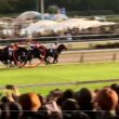 GⅠ天皇賞秋 マスカレードボール 2025/11/02 東京競馬場11R