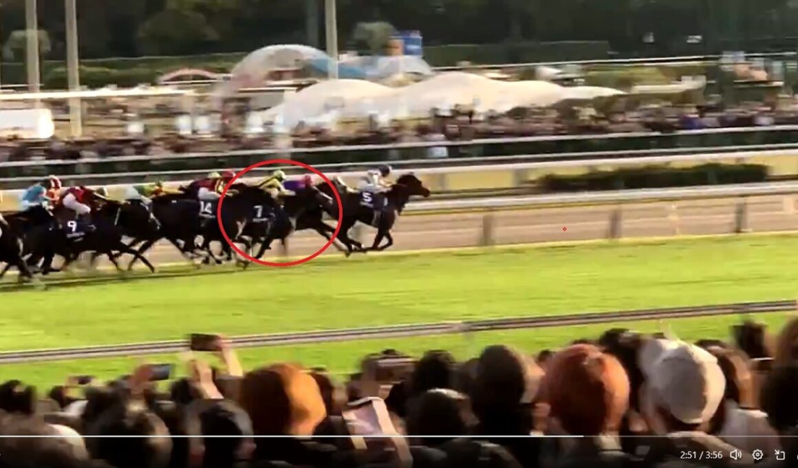 GⅠ天皇賞秋 マスカレードボール 2025/11/02 東京競馬場11R