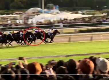 GⅠ天皇賞秋 マスカレードボール 2025/11/02 東京競馬場11R
