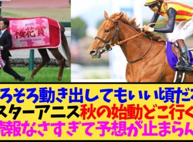 【スターアニス】秋の進路が全然決まらない件…秋華賞？スプリンターズ？ゴールデンイーグル？【競馬】