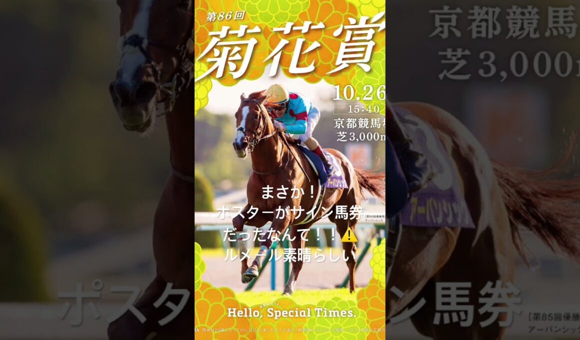 #競馬 #菊花賞　#エネルジコ　#京都競馬　#京都　#長澤まさみ  #最上あい