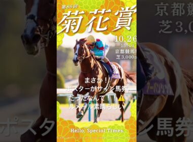 #競馬 #菊花賞　#エネルジコ　#京都競馬　#京都　#長澤まさみ  #最上あい