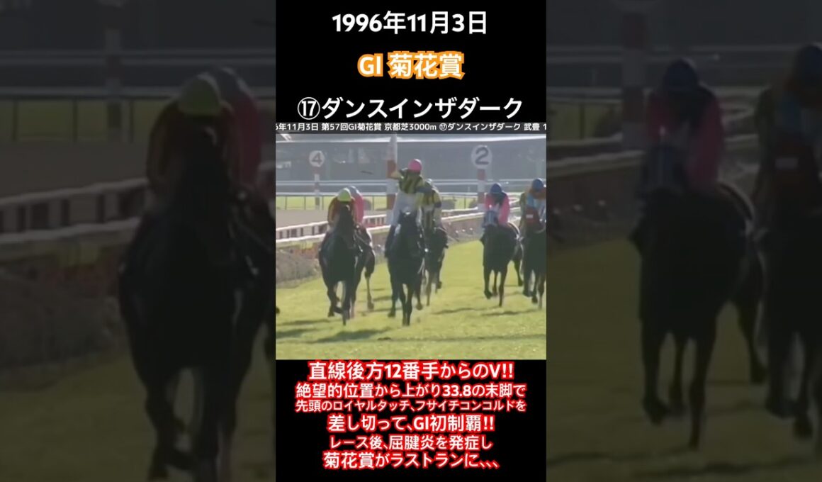 菊花賞1996 直線後方12番手からのV‼︎ 武豊×ダンスインザダークが上がり33.8の末脚でフサイチコンコルドらを差し切り、GⅠ初制覇!!#競馬#ダンスインザダーク#武豊#菊花賞#shorts