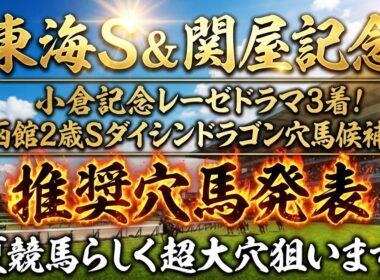 【東海ステークス&関屋記念】推奨穴馬発表！〇〇だからこそ今回絶好の狙い目！超大穴狙います！