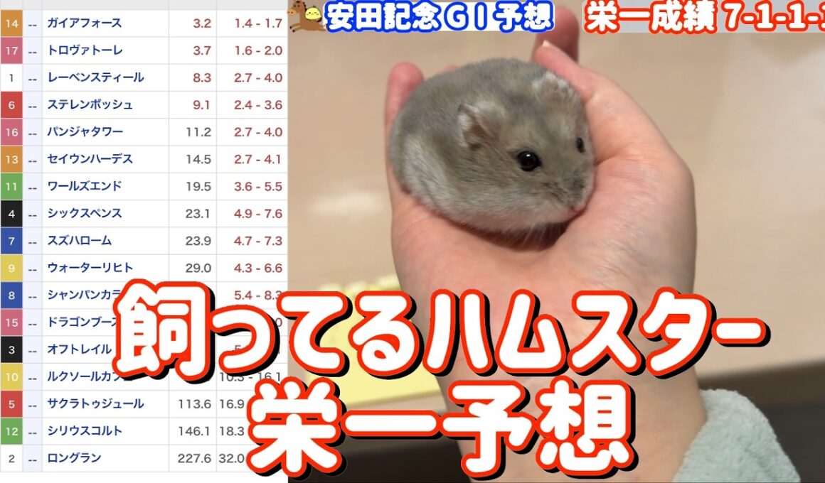 競馬予想【GⅠ安田記念🐎 2026.6.7】10連続馬券内へ！まさかおまえ・・・