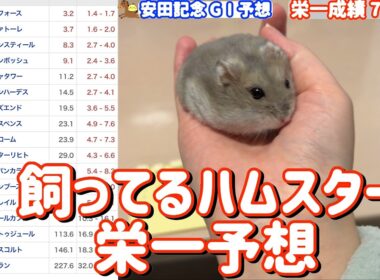 競馬予想【GⅠ安田記念🐎 2026.6.7】10連続馬券内へ！まさかおまえ・・・