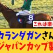 「カランダガン、再びジャパンカップ襲来へ…」に対する競馬民の反応集