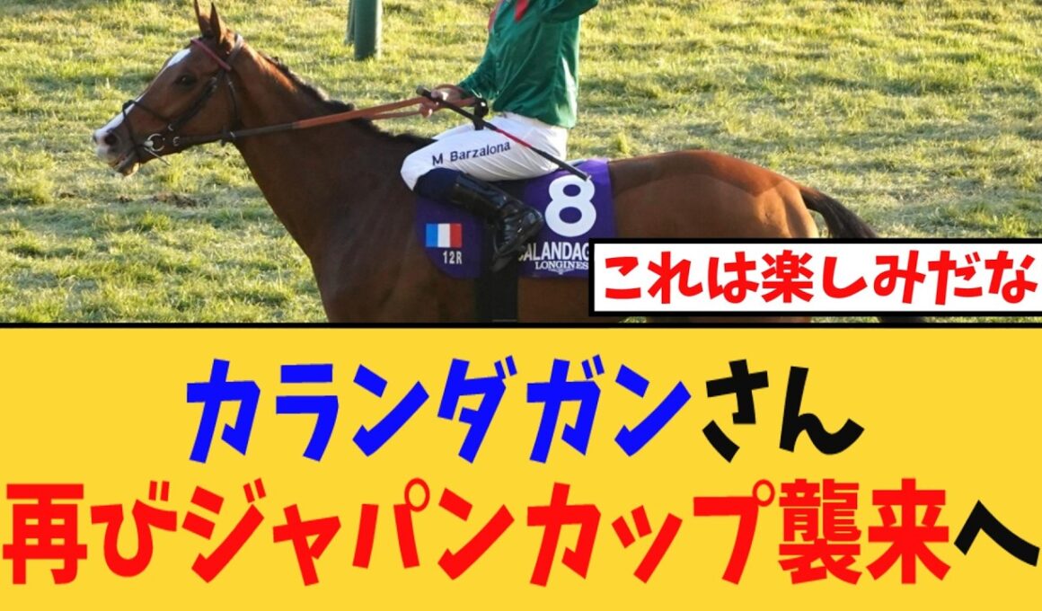 「カランダガン、再びジャパンカップ襲来へ…」に対する競馬民の反応集