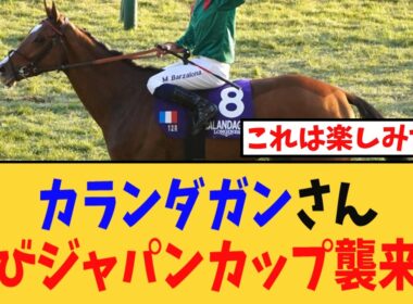 「カランダガン、再びジャパンカップ襲来へ…」に対する競馬民の反応集