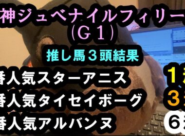 【阪神JF2025】阪神ジュベナイルフィリーズの推し馬3頭【くらら競馬予想】