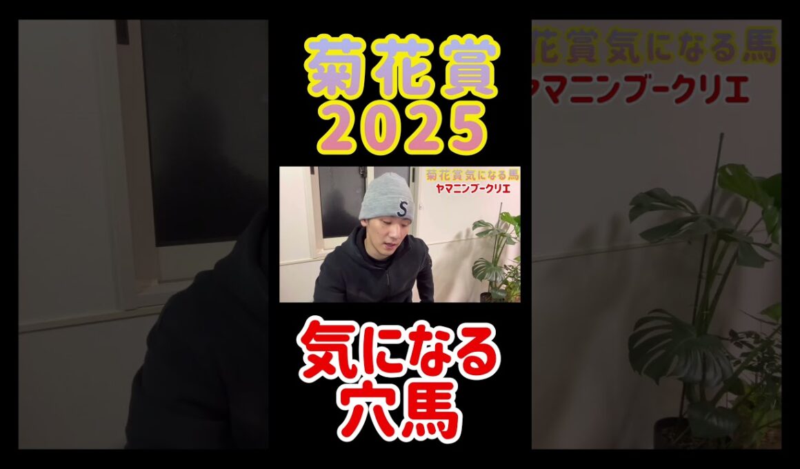 【菊花賞2025】人気薄な強い馬はいい枠に入ったあの馬！ #競馬 #菊花賞 #予想