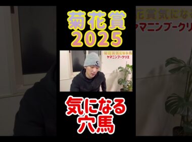 【菊花賞2025】人気薄な強い馬はいい枠に入ったあの馬！ #競馬 #菊花賞 #予想