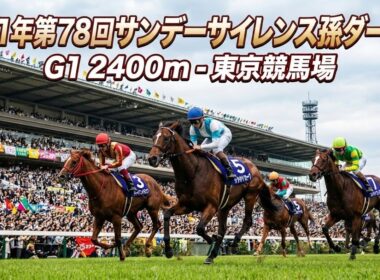 2011年第78回東京優駿日本ダービー(サンデーサイレンス孫ダービー)