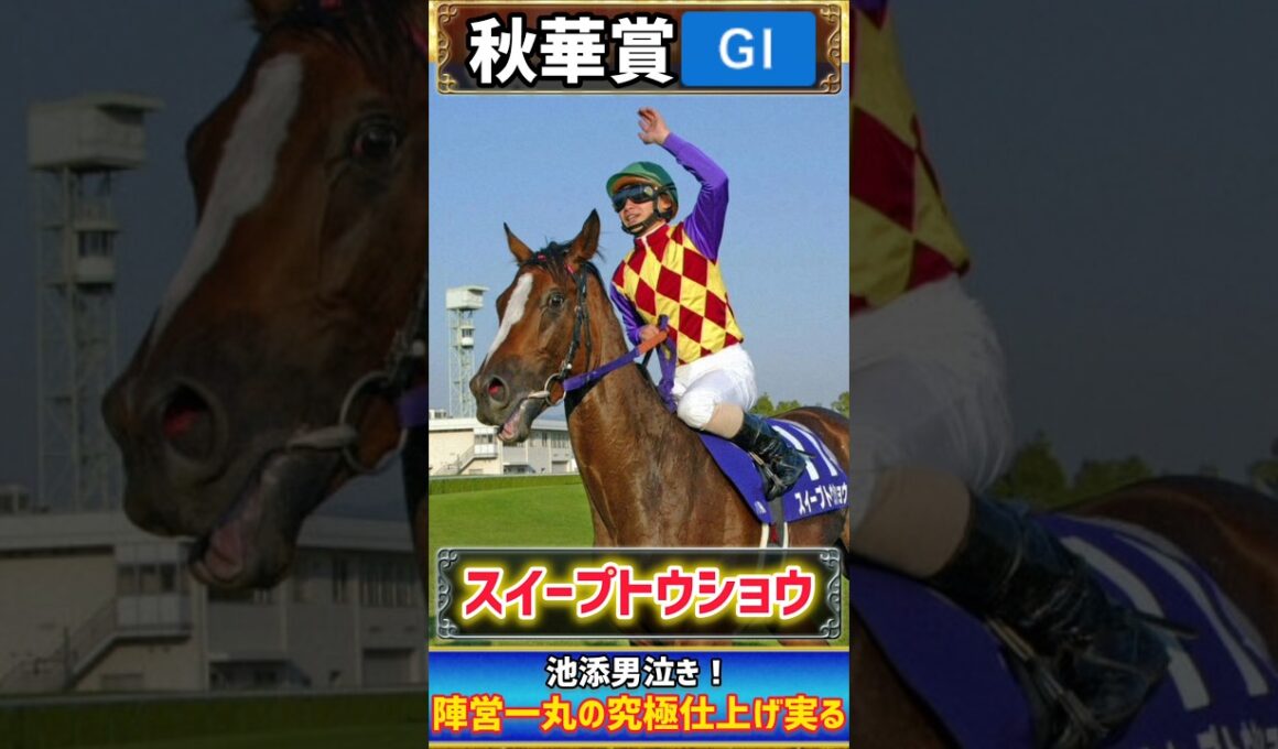 【過去の秋華賞プレイバック】池添男泣き！スイープトウショウ初タイトル　陣営一丸の究極仕上げ実る！【秋華賞2004】#競馬 #競馬予想 #秋華賞  #short #shorts #JRA