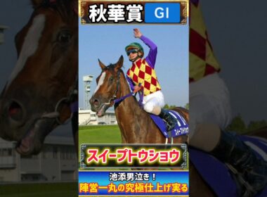 【過去の秋華賞プレイバック】池添男泣き！スイープトウショウ初タイトル　陣営一丸の究極仕上げ実る！【秋華賞2004】#競馬 #競馬予想 #秋華賞  #short #shorts #JRA