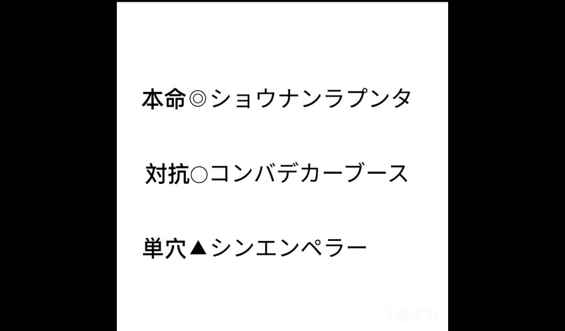 ホープフルステークス2023　最後の戦い　負けられないぜ！