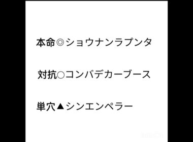 ホープフルステークス2023　最後の戦い　負けられないぜ！