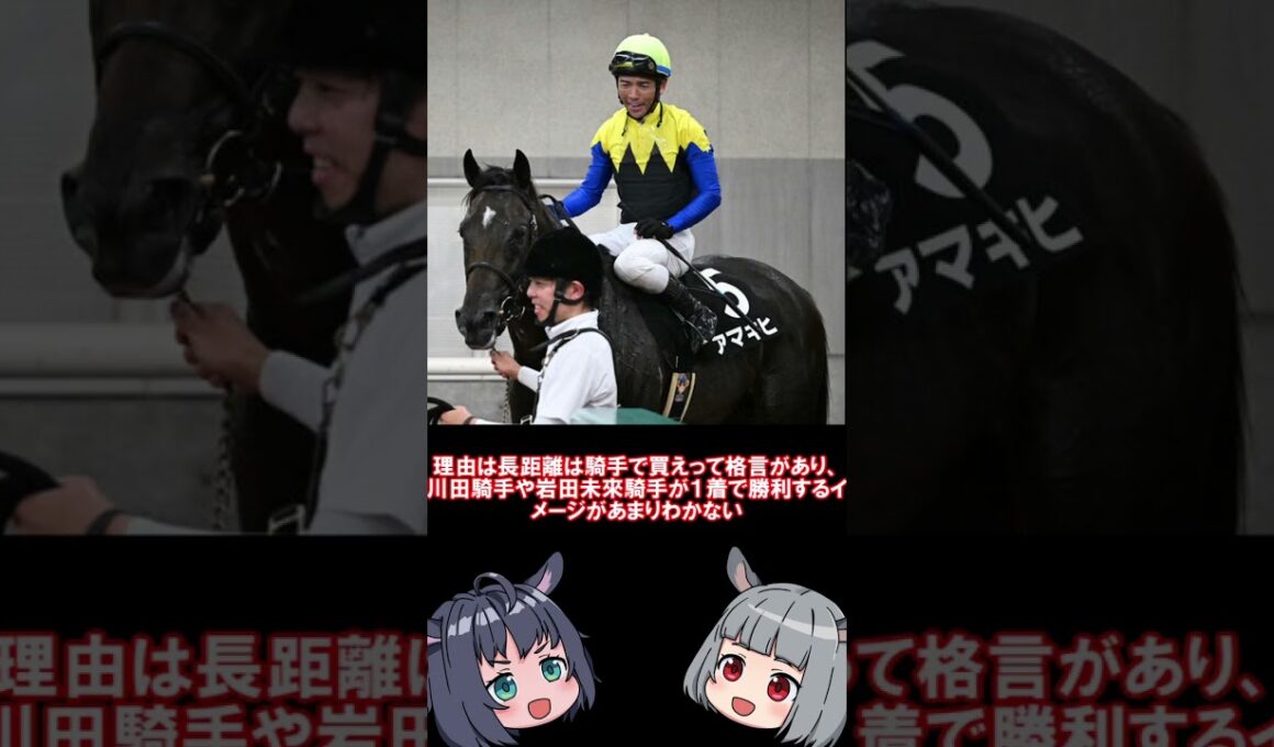 需要多数【菊花賞予想】逆神のお告げを聞け　本命はあの超良血馬 #競馬#菊花賞