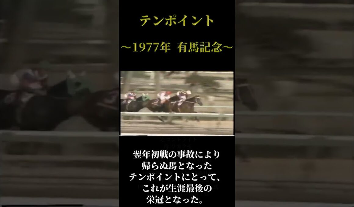燃え尽きた悲運の貴公子『テンポイント』有馬記念史上最高のデッドヒート【競馬】【20世紀の怪物列伝】 #競馬 #アトランティス #テンポイント #トウショウボーイ #グリーングラス #有馬記念