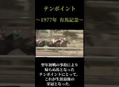 燃え尽きた悲運の貴公子『テンポイント』有馬記念史上最高のデッドヒート【競馬】【20世紀の怪物列伝】 #競馬 #アトランティス #テンポイント #トウショウボーイ #グリーングラス #有馬記念