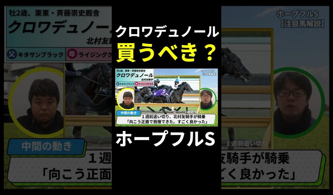 【ホープフルステークス2024】「すごすぎる」と話題のクロワデュノール、買いポイントは？