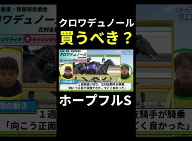【ホープフルステークス2024】「すごすぎる」と話題のクロワデュノール、買いポイントは？
