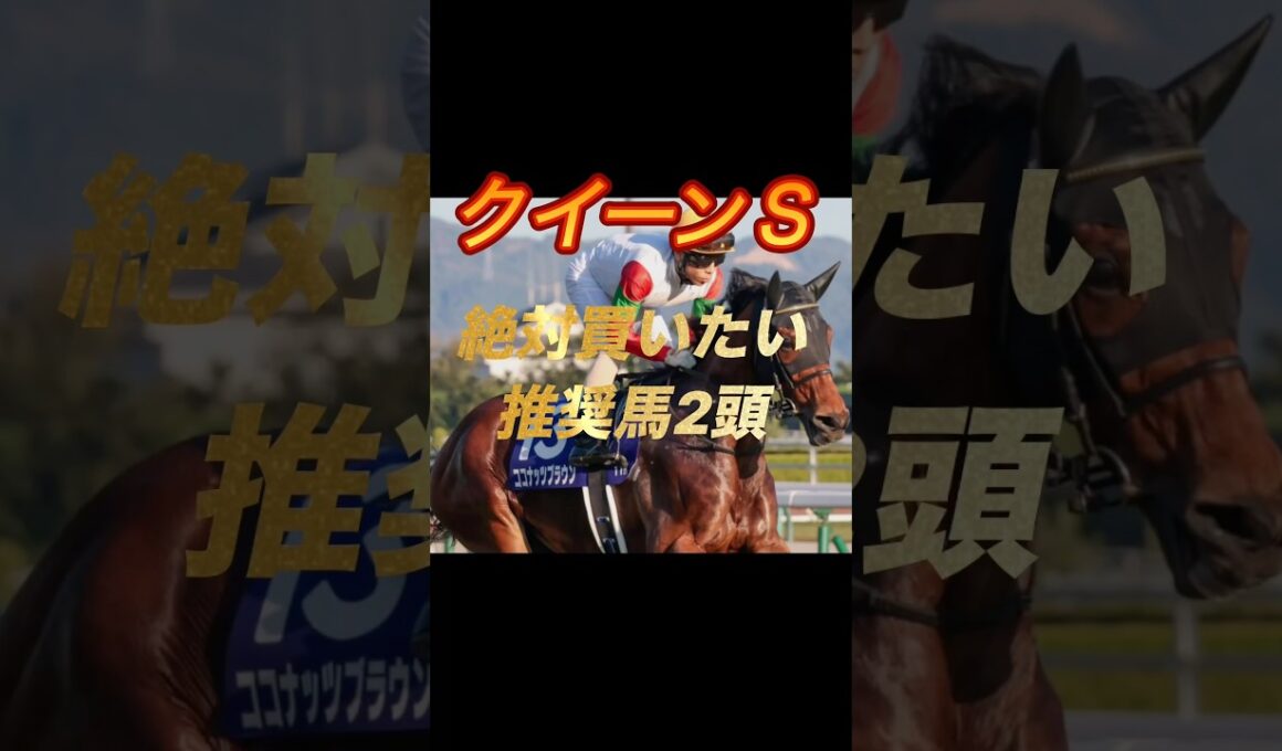 クイーンステークス2026 絶対買いたい推奨馬2頭紹介