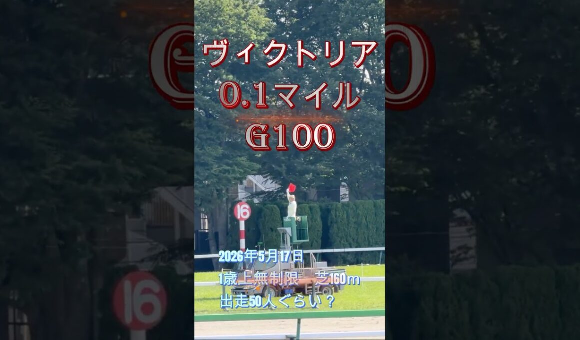 ヴィクトリアマイル、Team Z、競馬エンターテイメントを楽しみましょう。Team Zメンバーの競馬予想、勝ち馬予想、競馬研究、血統研究、馬券の研究を致します。　#競馬 #競馬予想 #東京競馬場