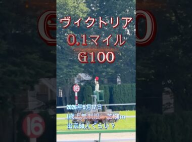 ヴィクトリアマイル、Team Z、競馬エンターテイメントを楽しみましょう。Team Zメンバーの競馬予想、勝ち馬予想、競馬研究、血統研究、馬券の研究を致します。　#競馬 #競馬予想 #東京競馬場