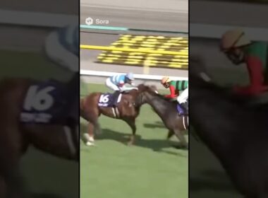 #asmr #KikukaSho #YutakaTake #HorseRacing #JRA #TripleCrown #菊花賞 #競馬 #武豊